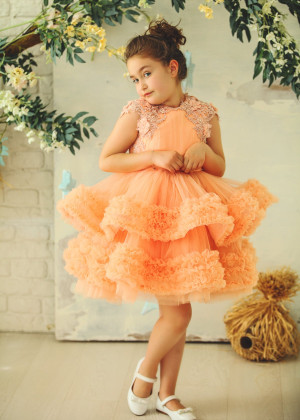 Salmon Ruffle Tulle Lace Appliques Flower Girl Dress